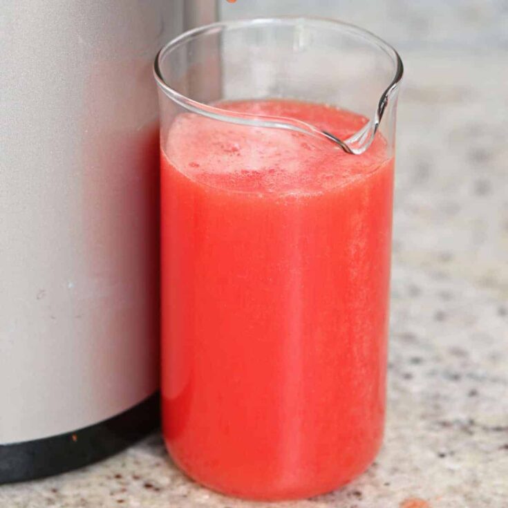 Image for How to Make Tomato Juice (3 Methods)