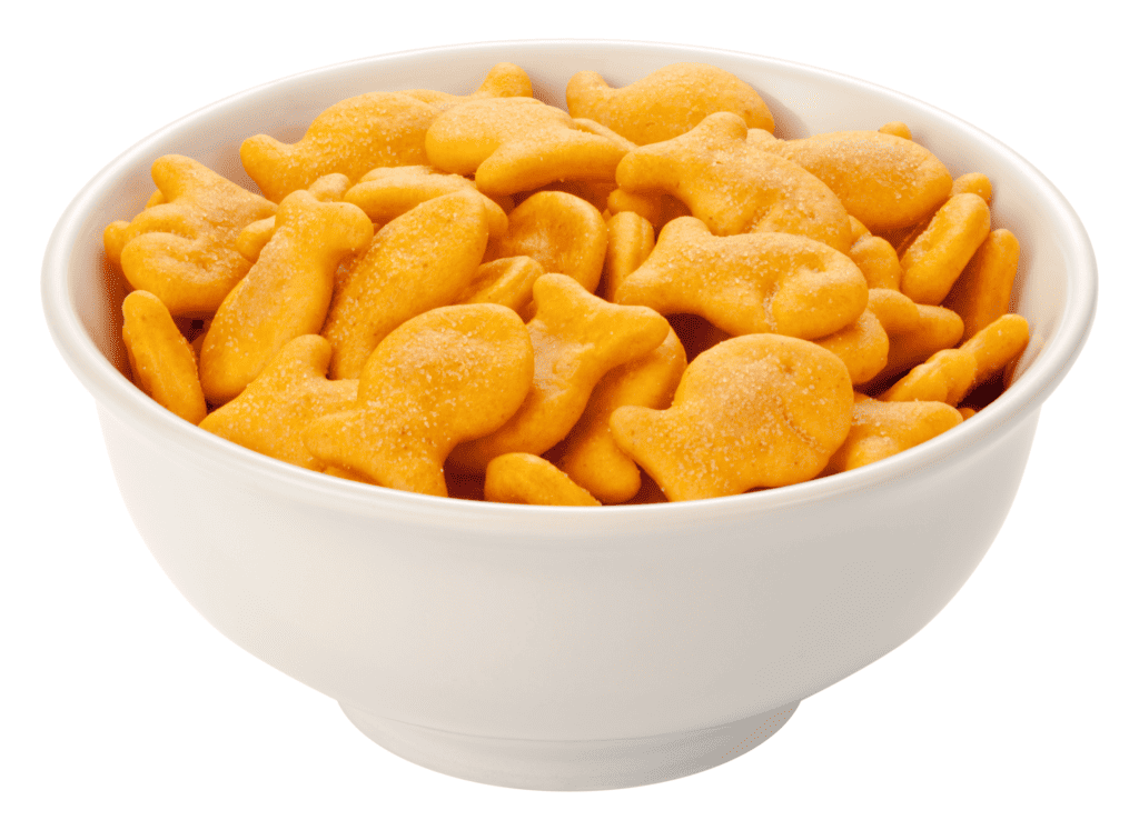 Are Goldfish Vegan? Exploring the Facts and Debates